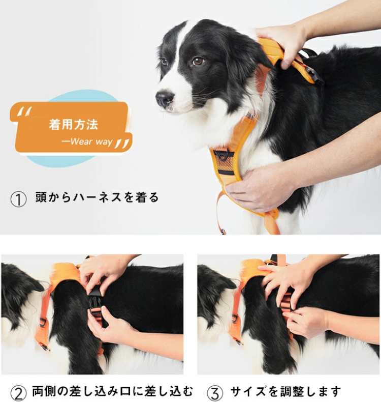 犬用ハーネス+伸縮リードセット™