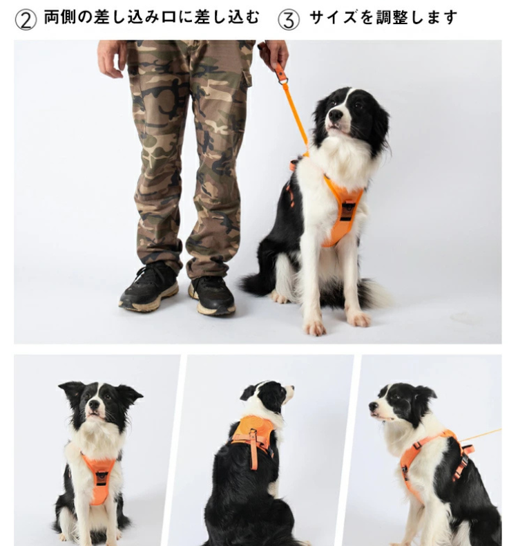 犬用ハーネス+伸縮リードセット™