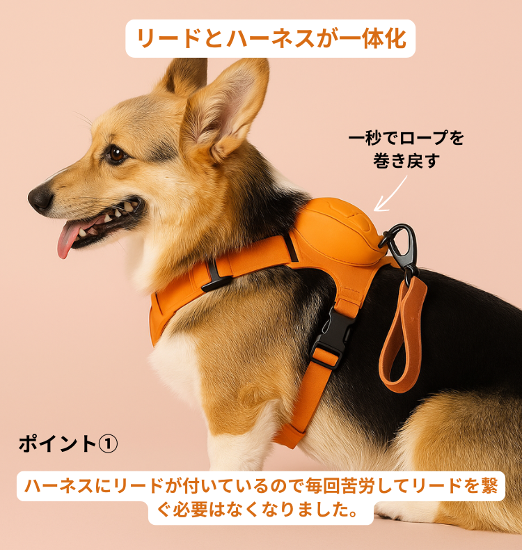 犬用ハーネス+伸縮リードセット™