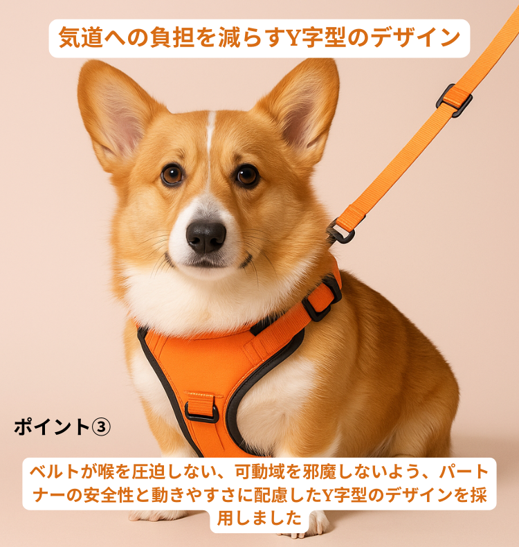 犬用ハーネス+伸縮リードセット™