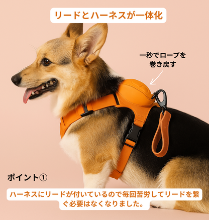 犬用ハーネス＋伸縮リードセット™